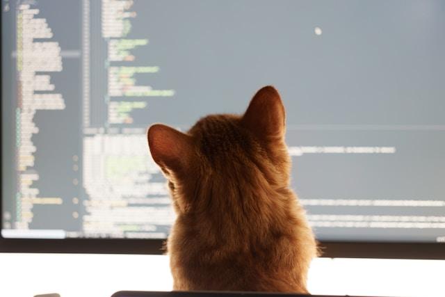 On the coding agents